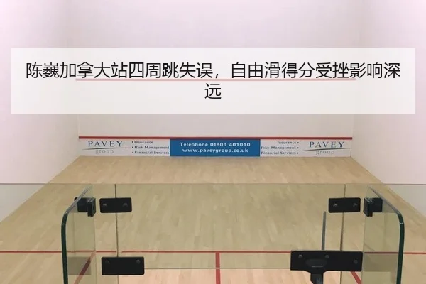 chen-wei-jia-na-da-zhan-si-zhou-tiao-shi-wu-zi-you-hua-de-fen-shou-cuo-ying-xiang-shen-yuan-2-390.jpg